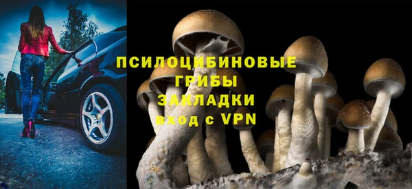 а пвп мука Бугульма