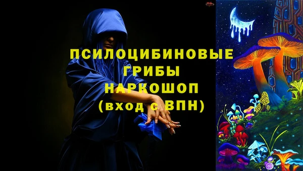 герыч Бронницы