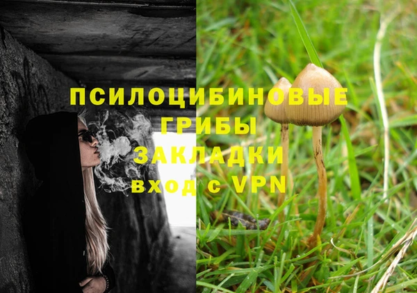 герыч Бронницы