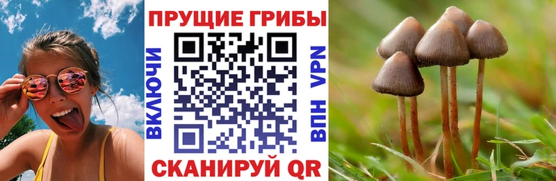 МЕГА ссылка  Сочи  Псилоцибиновые грибы Magic Shrooms 