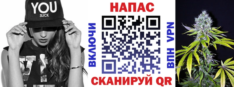 Бошки Шишки Amnesia  Сочи 